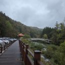 월정사 화장실 | 월정사/오대산 월정사 전나무 숲길/월정사 성보 박물관/국립 조선왕조실록 박물관 방문 후기