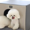 핑크 펫 하우스 이미지