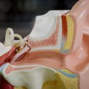 오르소한의원 이미지