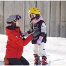 화이트스쿨 이미지