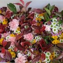 개신초교 병설유치원 이미지