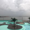 배곧한울공원 이미지