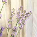 마리앤의원 이미지