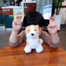 프랭크버거 동해쇄운점 이미지