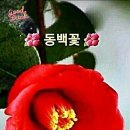 행복한하루 이미지