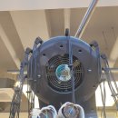 갈매역 | 갈매미용실 에이바헤어 갈매역 지안 디자이너 굵은 히피펌 후기