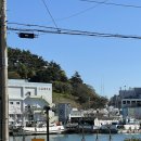 두산각 | 통영 점심 맛집 “두산각” 현지인 추천 중화요리, 해물짜장•해물짬뽕•탕수육 대만족 후기