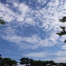 이은 행정사 사무소 이미지