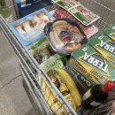 서초대로46길 62 | Week 1 : 짧은 연휴가 지나고, 정말 유독 일하기 싫었던 주간(June 05.~11.)