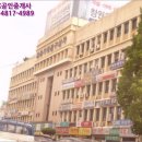 사파동203 이미지