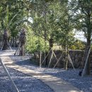 산새세탁 이미지