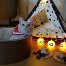 달달한공부방 이미지