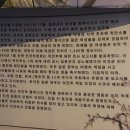 코보식당 이미지