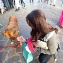 플로리안(3) 이미지