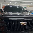 지니옵틱 | 2026 에스컬레이드 롱바디, 루마 버텍스 1100으로 완성한 압도적 아우라