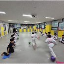 국가대표멘토태권도 이미지