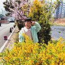 야촌경로당 이미지