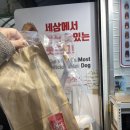 광장찰핫도그 네이버블로그