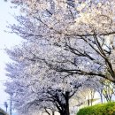 인라인롤러장 이미지