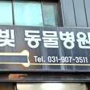 봄빛동물병원 이미지