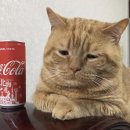 픽사메이커스