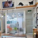 아름드리동물병원 이미지