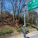 3.1운동비 이미지