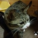 라라호텔 이미지