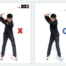 평촌 탑 골프연습장 이미지