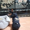 케나인코리아 이미지