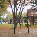 일산서쪽화장실 이미지