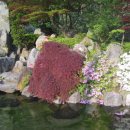 송림펜션 이미지