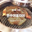 돼지야한우야 이미지