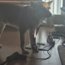 대구역네거리 교통섬 | 대구국제마라톤 풀코스 42.195km 뒤늦은후기