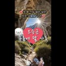 구름에달가듯 Daum카페