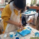 변산초등학교 이미지