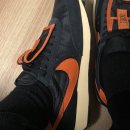 포켓피쉬 이미지