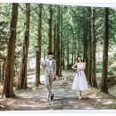 웨딩스쿨 결혼 이미지