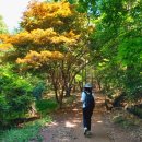 대공원충전소 | 인천 초보 등산코스 추천 BEST 3 | 가을에 가볍게 오르기 좋은 상아산·고려산·마니산