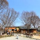 자연을닮은사람들 | 완주 아원고택 근처 맛집 고민 끝, 자연을닮은사람들 가족외식 솔직후기 (+웨이팅 꿀팁)