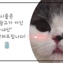 강서칡냉면 이미지