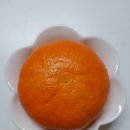 신애농장 이미지