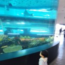 한국해양대학교박물관 | 부산 국립해양박물관 N번째 방문