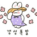 카카오 이미지