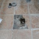 대동보건지소 이미지