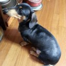 손수의과병원 이미지