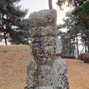 신면공 영광정씨 정부인 화관비 이미지