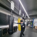 복싱팩토리 이미지