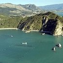 태전농장 이미지