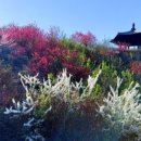 금산마을 이미지